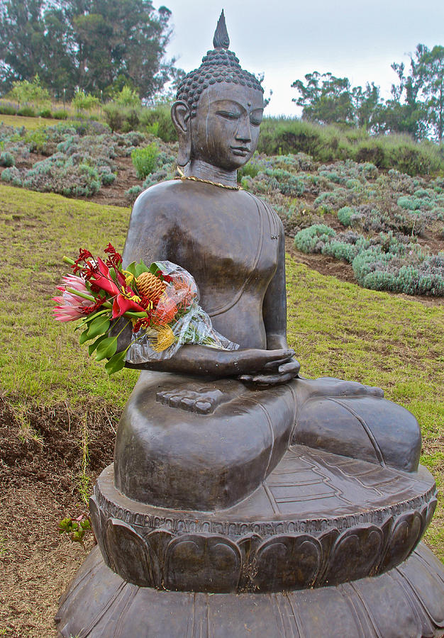 The Offering To Buddha Photograph by Venetia Featherstone-Witty