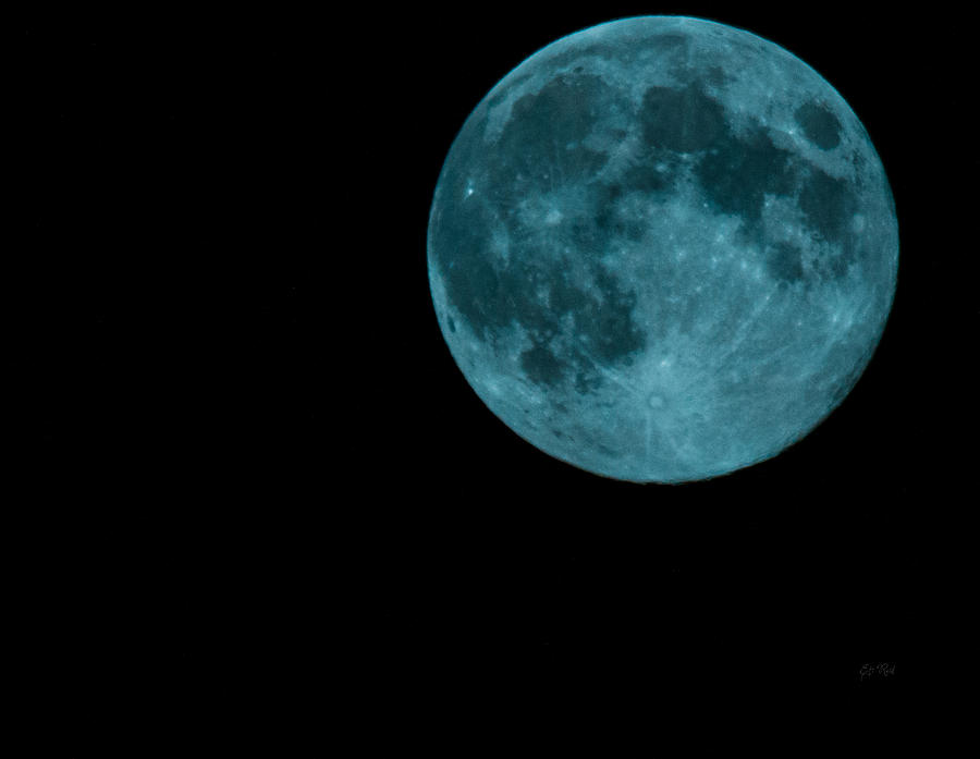The official blue moon of 2013-August 20-21 Photograph by Eti Reid