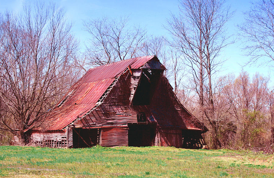 The Old Barn Photograph by Bonnie Willis