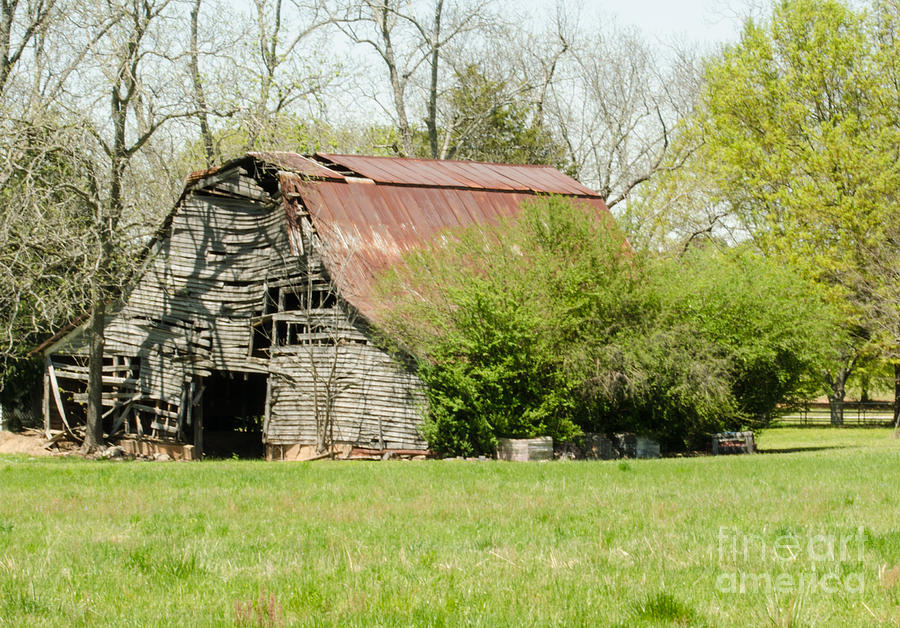The Old Barn Photograph by Donna Brown