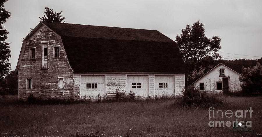 The Old Barn Photograph by Grace Grogan