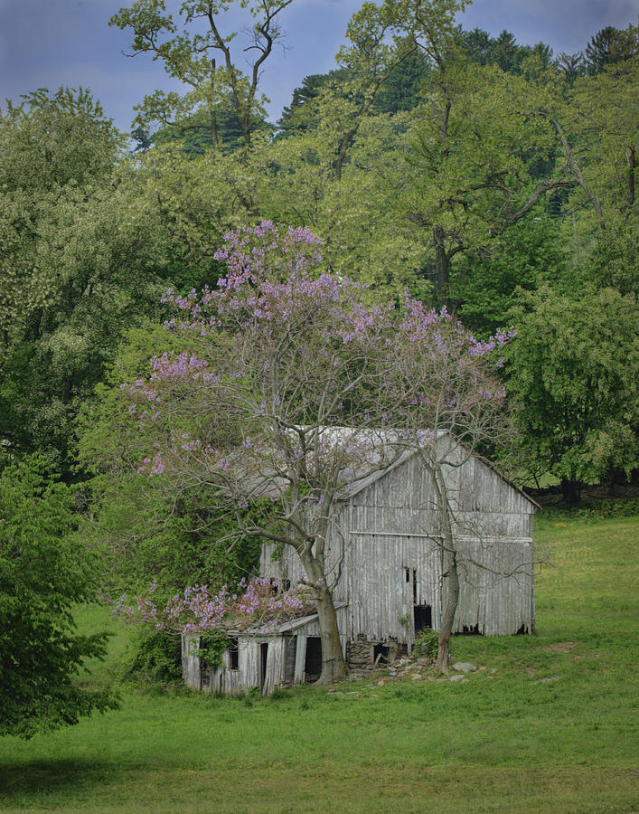 The Old Barn Photograph by Ray Kent