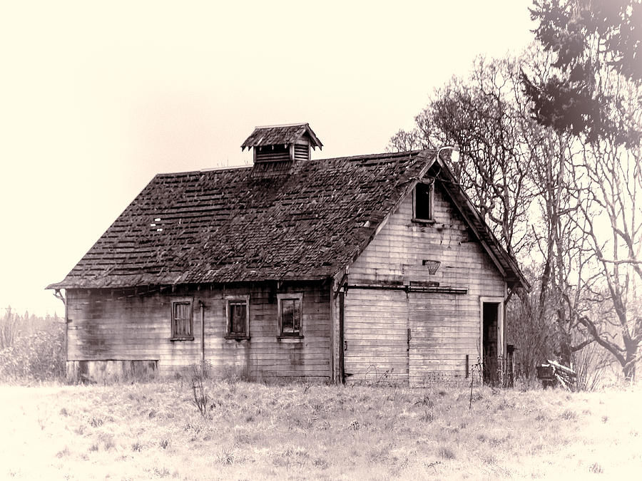 The Old Barn Photograph by Ron Roberts