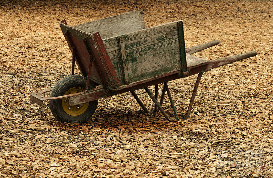 The Old Barn Wagon Photograph by Victoria Harrington