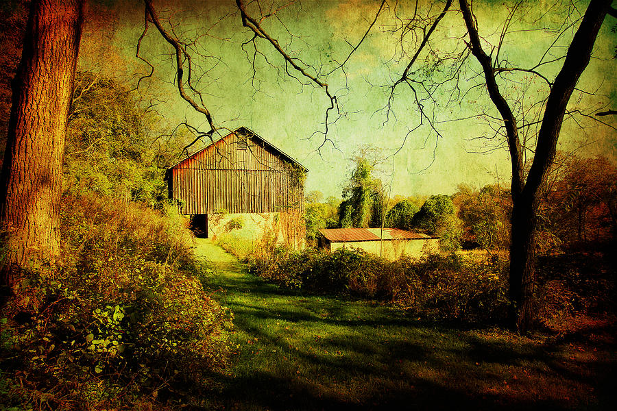 The Old Barn with Texture Photograph by Trina  Ansel