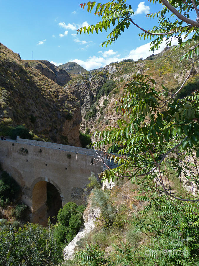 The Old Bridge - Tablate Ravine - Granada Photograph by Phil Banks