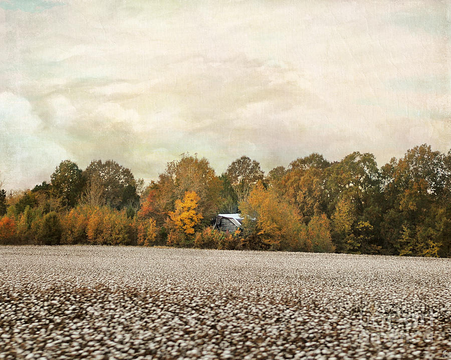 Fall Photograph - The Old Cotton Barn Country Landscape by Jai Johnson