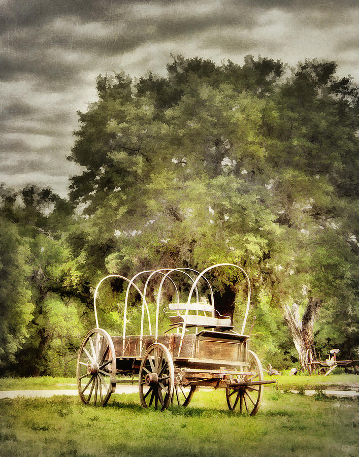 The Old Covered Wagon Photograph by David and Carol Kelly