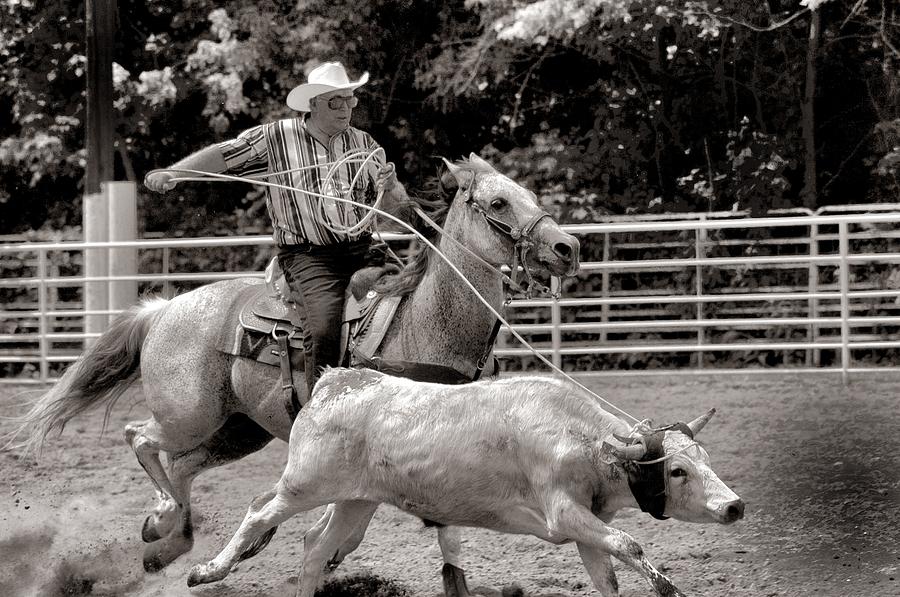 The Old Cowboy roping a steer Photograph by Tony Carosella - Fine Art ...