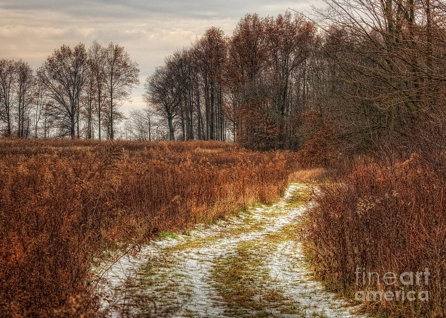 The Old Deer Path Photograph by Pamela Baker