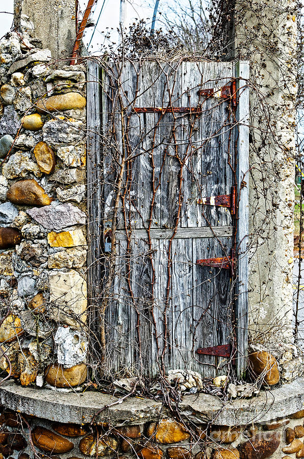 The Old Door Photograph by Paul Mashburn