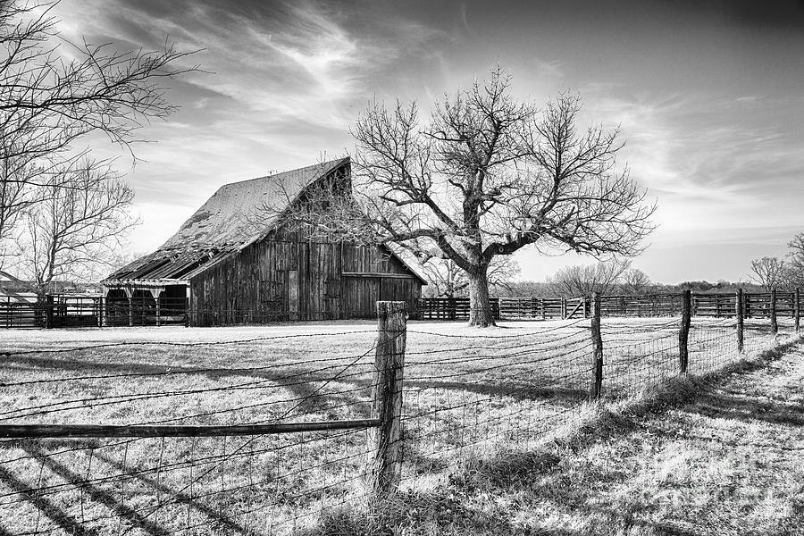 The Old Farm Barn Photograph by Terri Morris