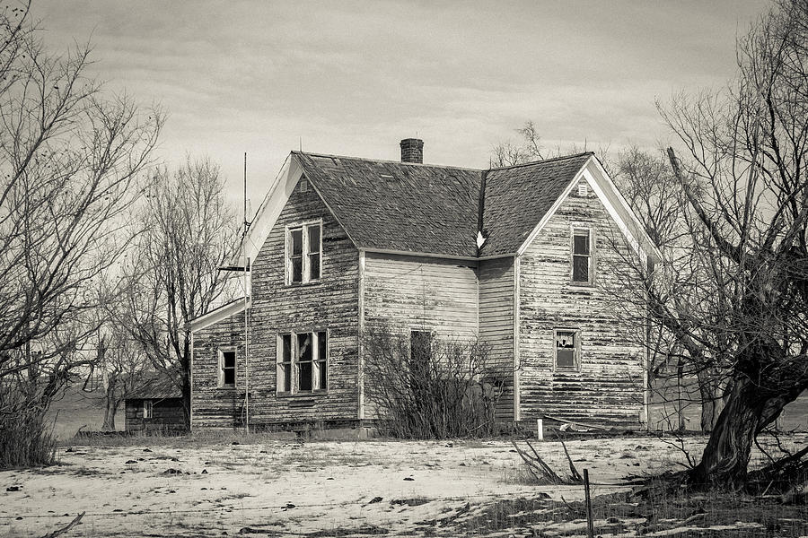 Tree Photograph - The Old Farm House by Chad Rowe