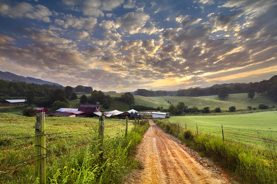 Appalachia Photograph - The Old Farm Lane by Debra and Dave Vanderlaan