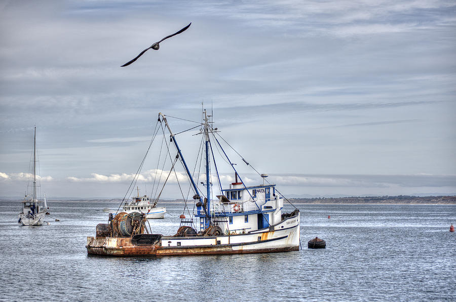 Old Fishing Boat in Sausalito Photograph by Connie Fox - Fine Art America