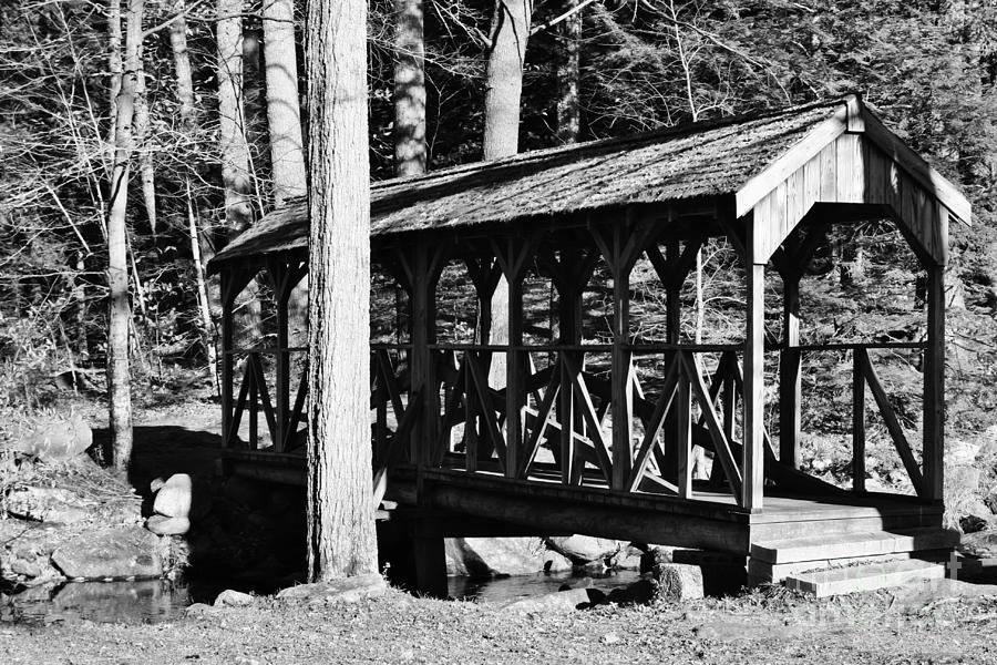 The Old Footbridge Photograph by Barbara Bardzik