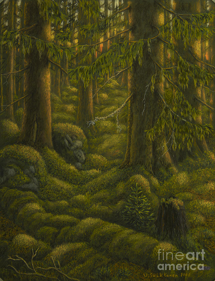 Nature Pastel - The old forest by Veikko Suikkanen