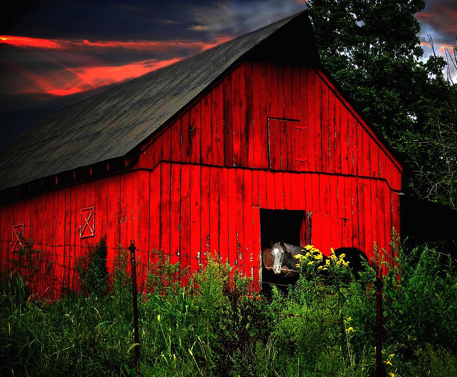 The Old Frederick Barn in Daviess County, Indiana Photograph by Julie Dant