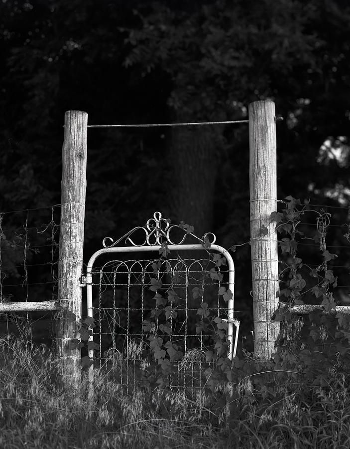 The Old Gate Photograph by Richard Smith