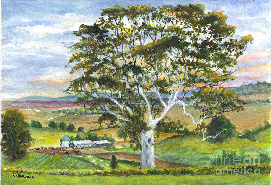 The Old Gum Tree in Oz  Painting by Carol Wisniewski