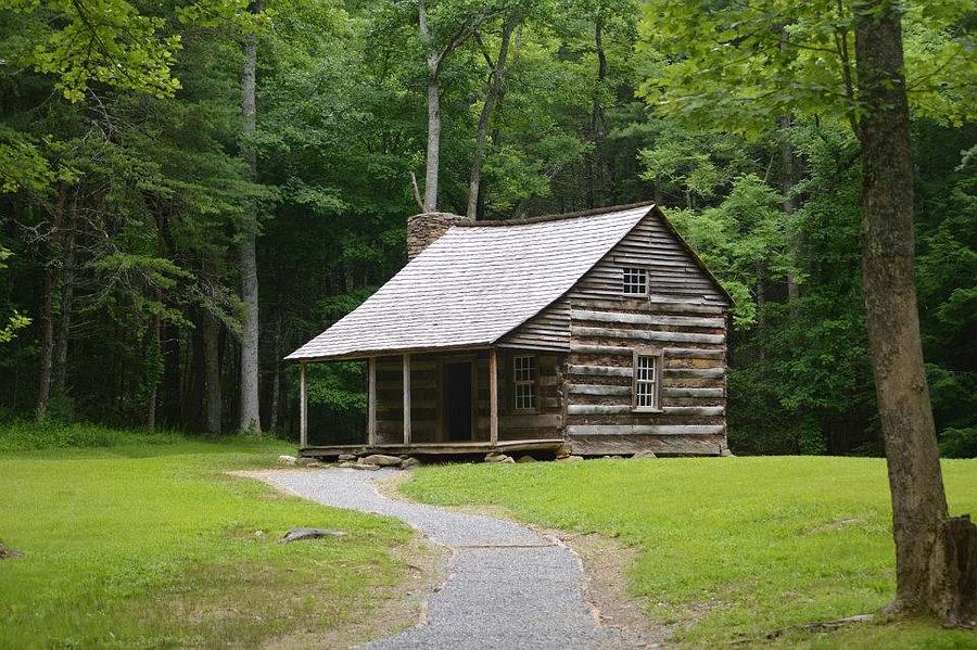 The old home place Photograph by Susan Ayers - Fine Art America