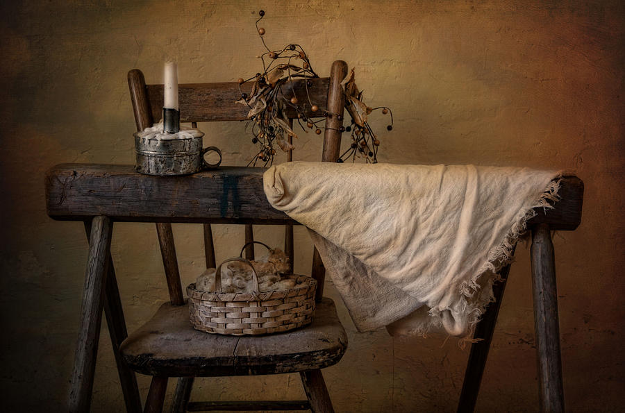 Still Life Photograph - The Old Horse by Robin-Lee Vieira