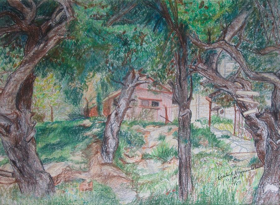 The Old House on the Hill in Talpiot Jerusalem  Drawing by Esther Newman-Cohen