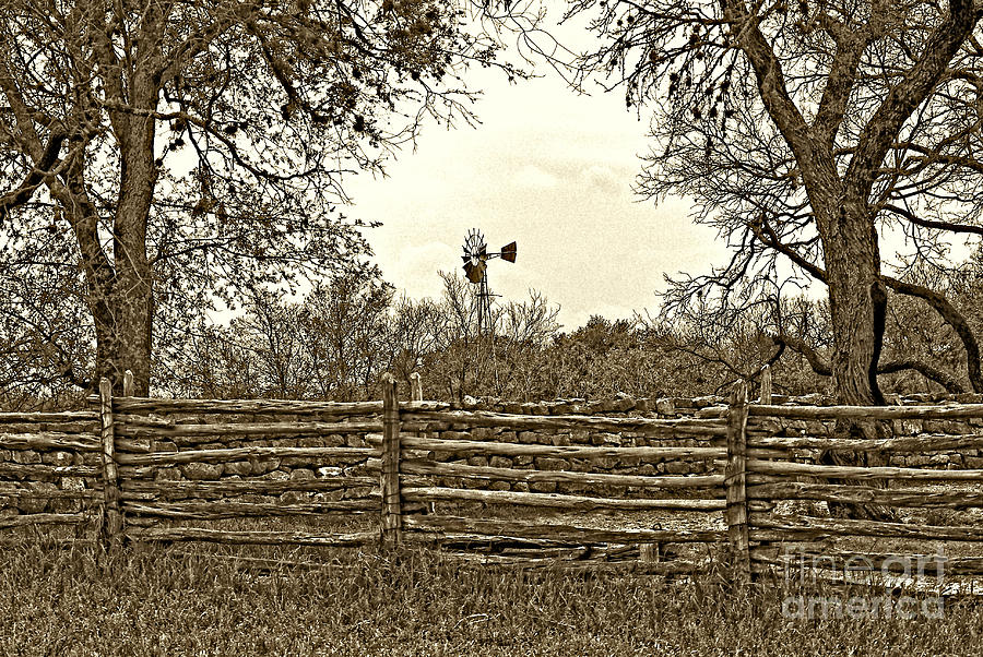 The Old Johnson Farm Photograph