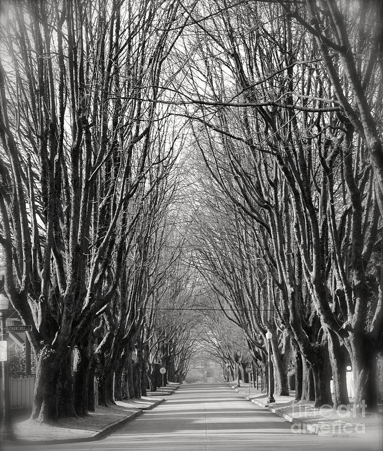 The old lane Photograph by Tina Hannaford | Fine Art America