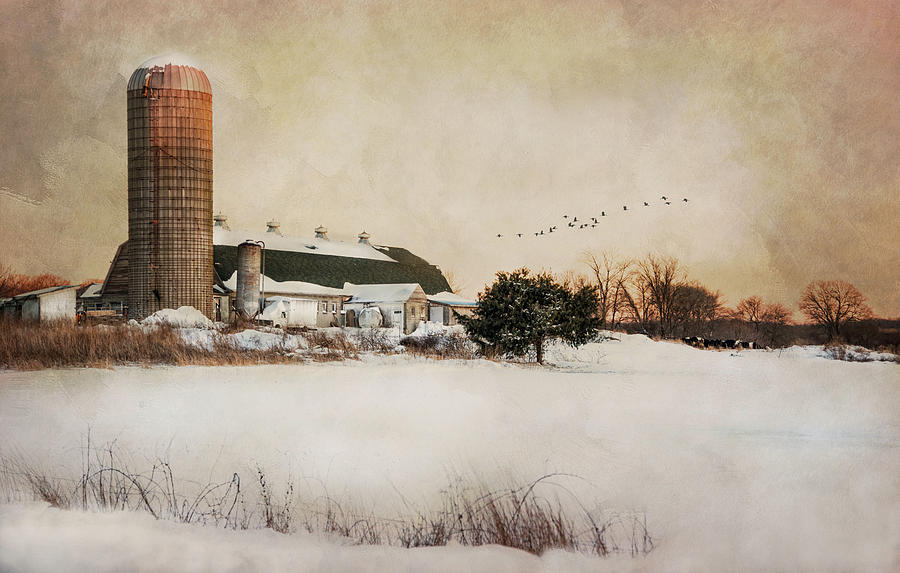 Vintage Photograph - The Old Milk Barn by Robin-Lee Vieira