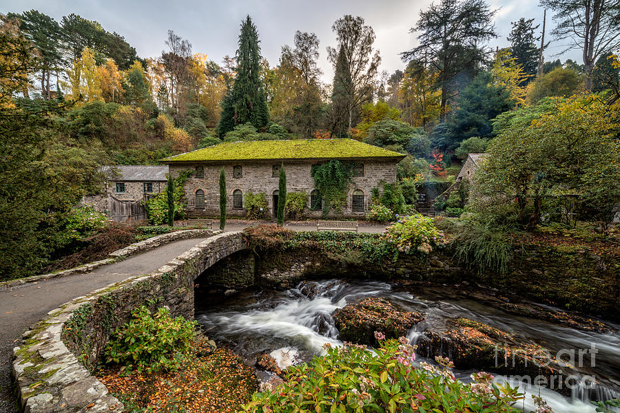The Old Mill Photograph by Adrian Evans