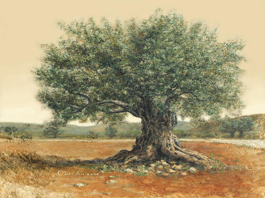 The  old olive tree. by Miki Karni Painting by Miki Karni