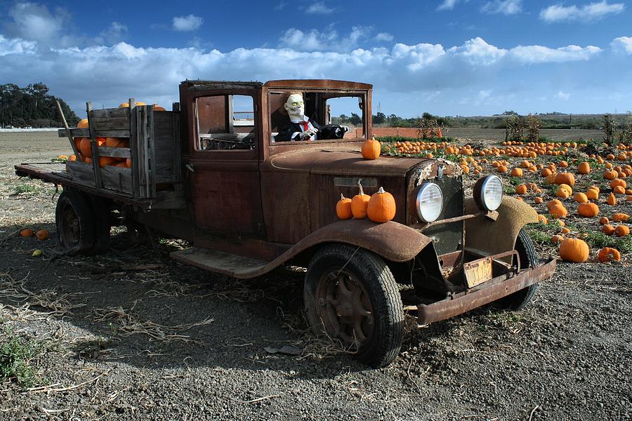 The Old Pumpkin Patch Photograph by Michael Gordon