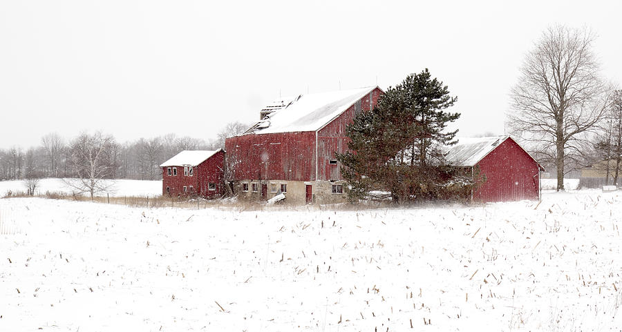The old red barn Photograph by Nick Mares