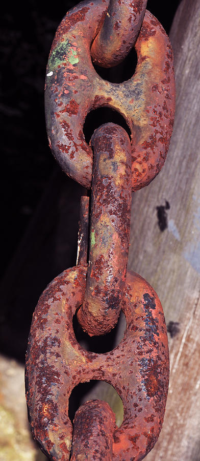 Boat Photograph - The old rusty chain by Mary Anne Williams