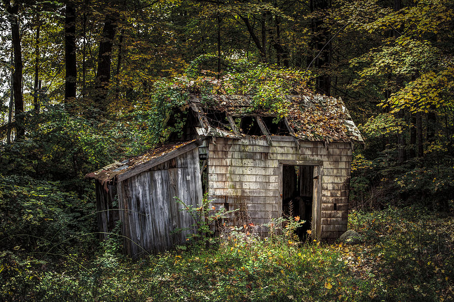 The old shack in the woods - Autumn at Long Pond Ironworks State Park Photograph by Gary Heller