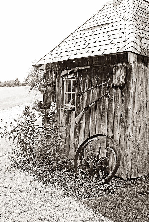 The Old Shed Photograph by Janice Adomeit