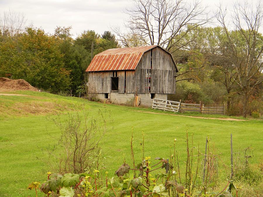 The Old Shed Photograph by Jean Goodwin Brooks