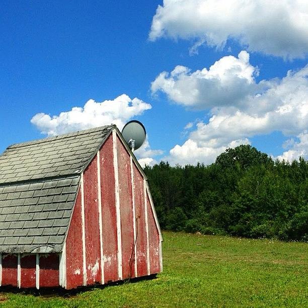 Summer Photograph - The Old Shed #puremichigan #shed by Angie Gooding
