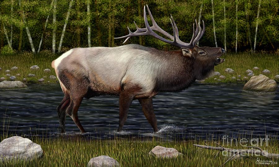 Stag Digital Art - The Old Stag by Chuck Devereaux Art