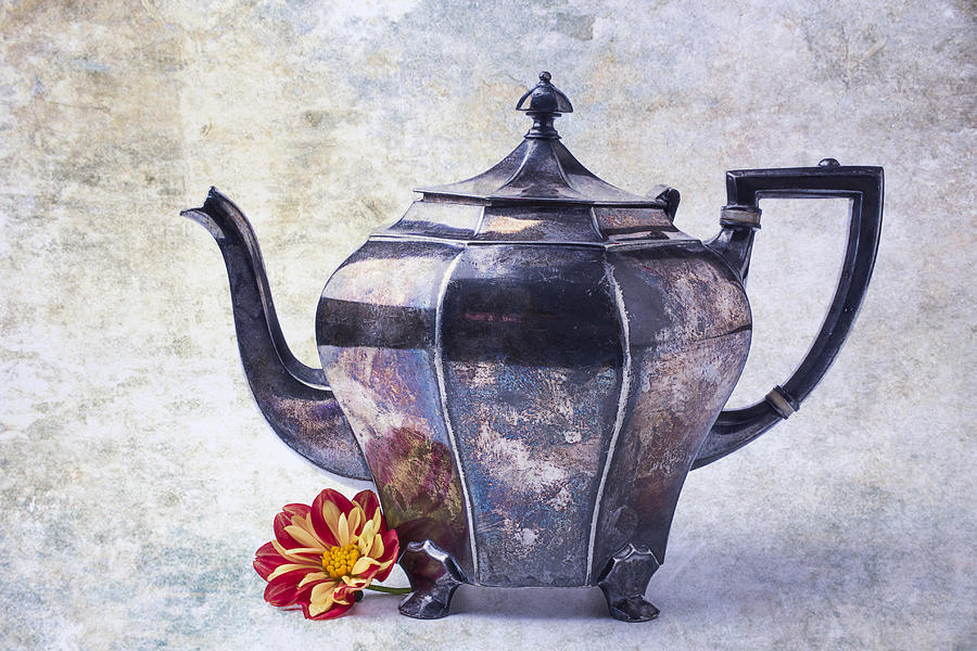 Teapot Photograph - The Old Teapot by Garry Gay