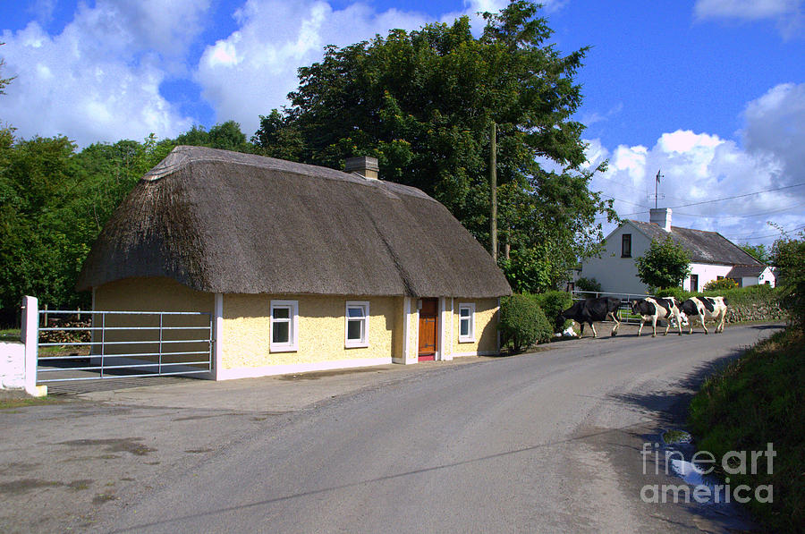 The old thatched cottage Photograph by Joe Cashin
