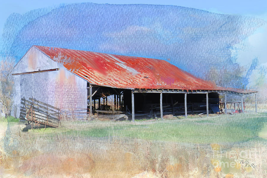 The Old Tin Barn Photograph by Betty LaRue