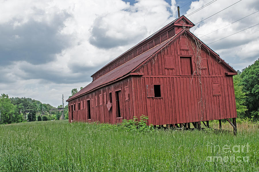 The Old Abandon Tobacco Barn Photograph by Donna Brown