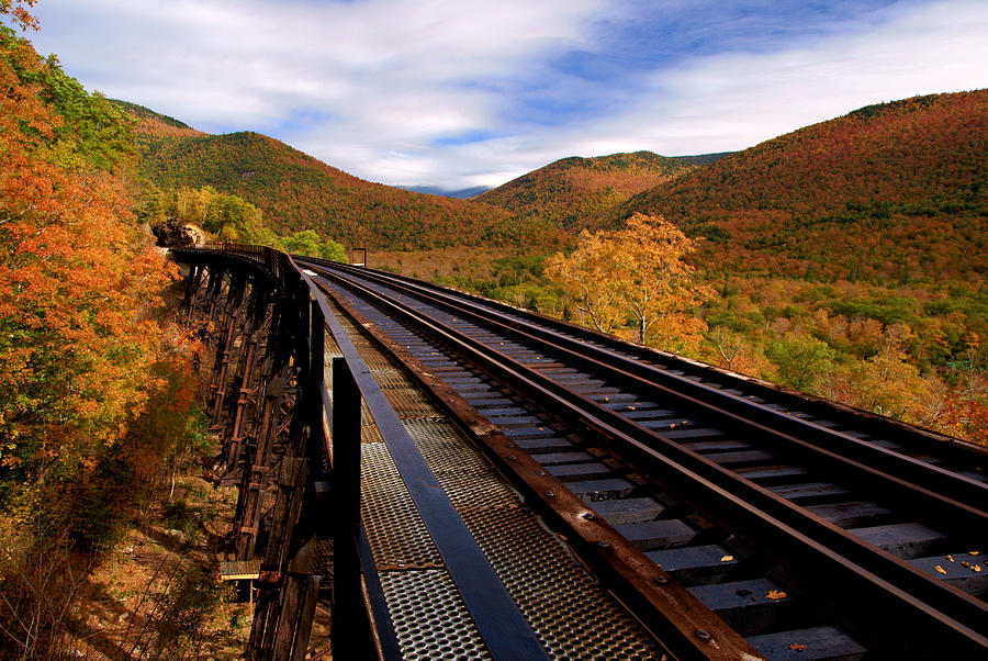 The Old Trestle Photograph by Daniel Woodrum