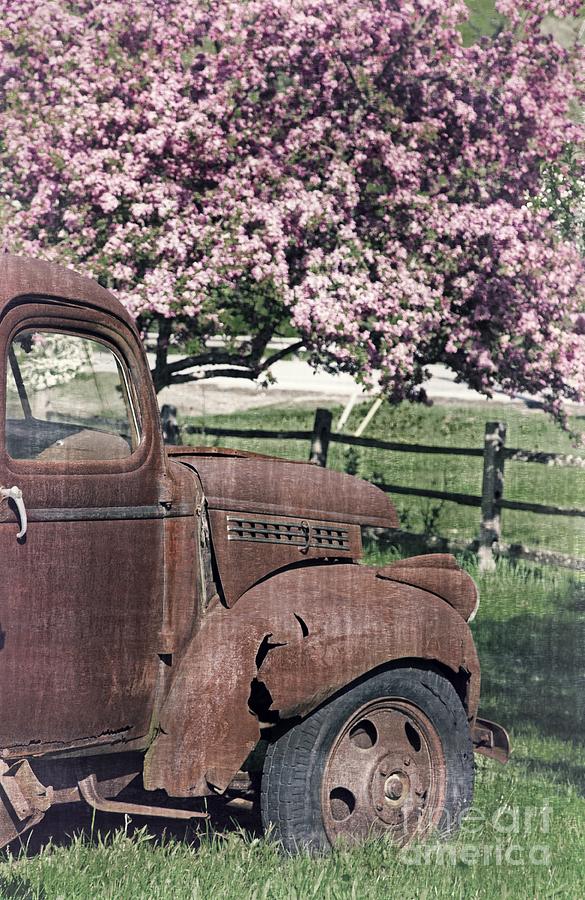 The Old Truck and the Crab Apple Photograph by Edward Fielding