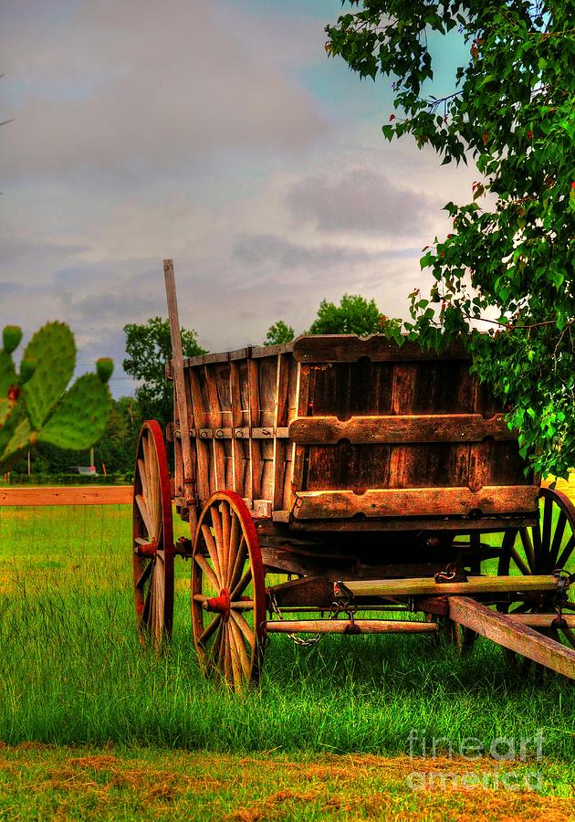 The Old Wagon Photograph by Kathy Baccari