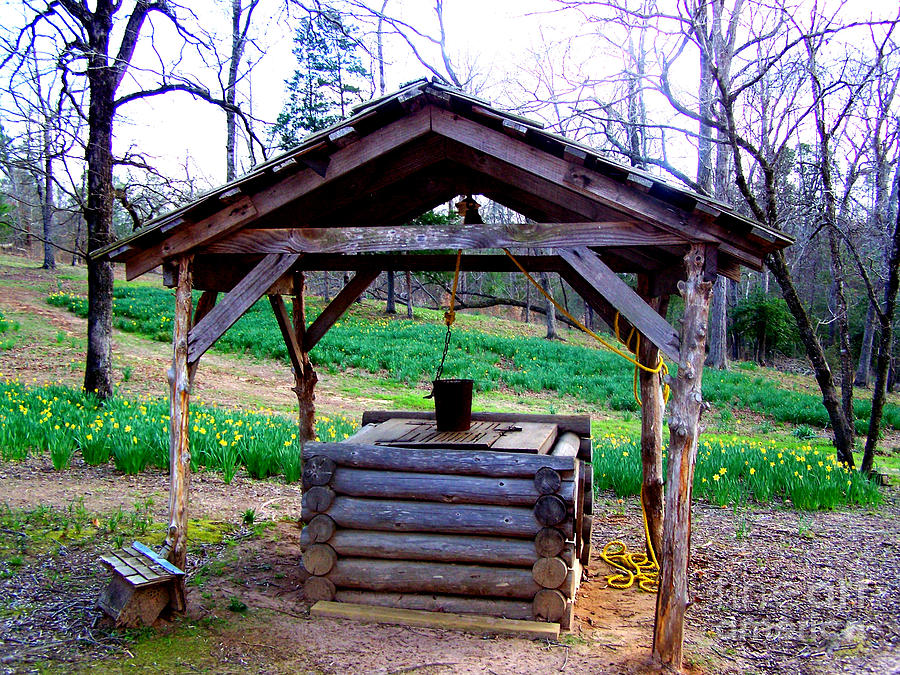The Old Water Well Photograph by Kathy  White