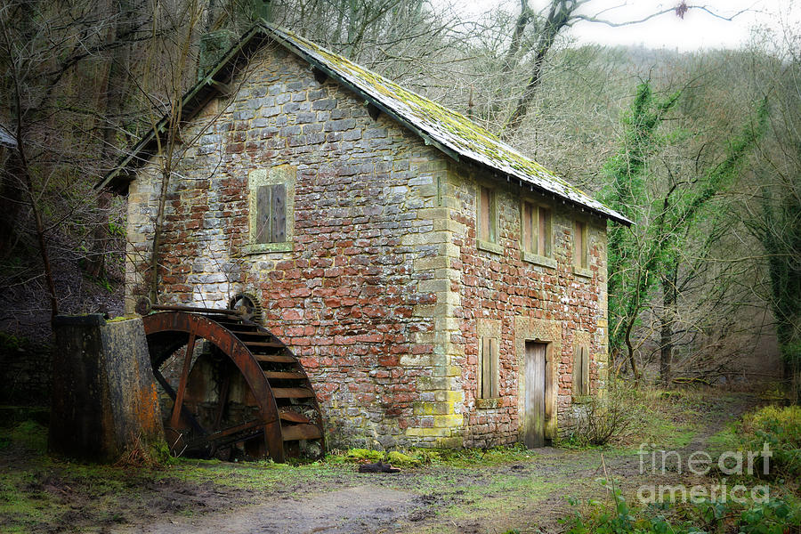 The Old Watermill Photograph by David Birchall
