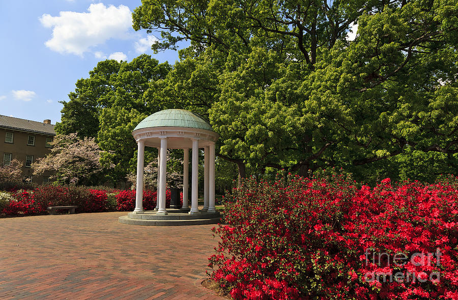 The Old Well At Chapel Hill Photograph